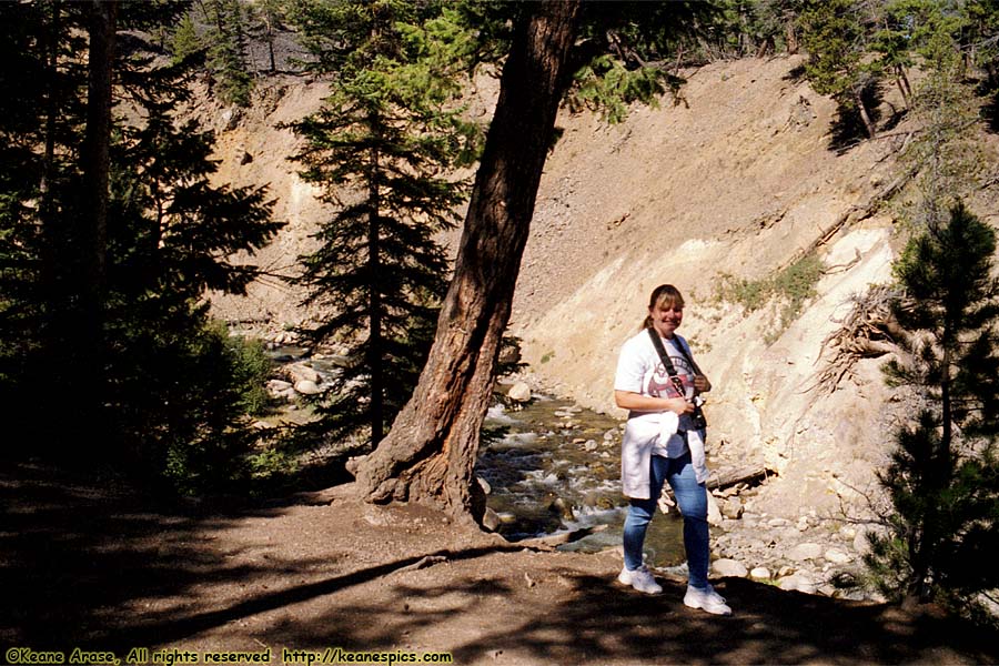 Yellowstone River