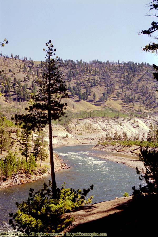 Yellowstone River