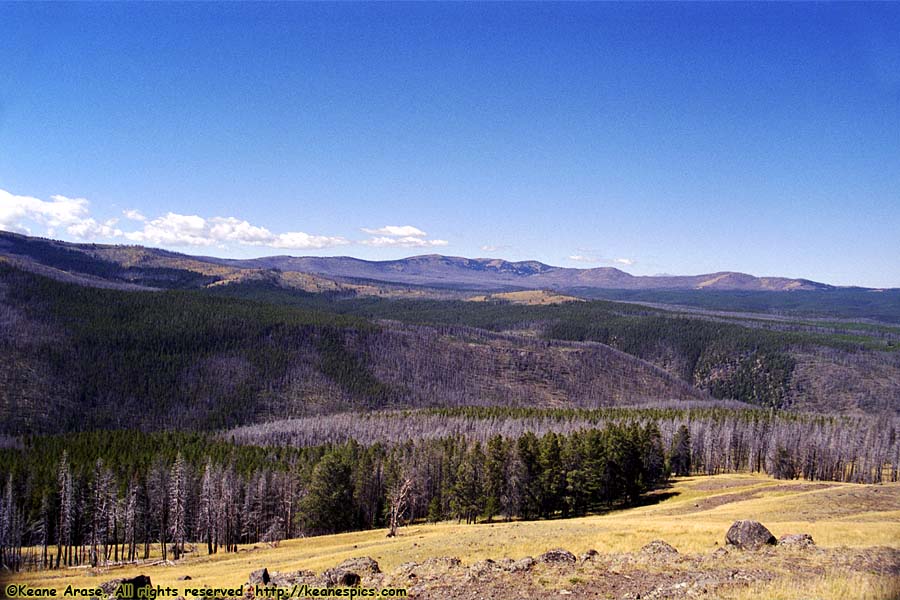 Near Dunraven Pass