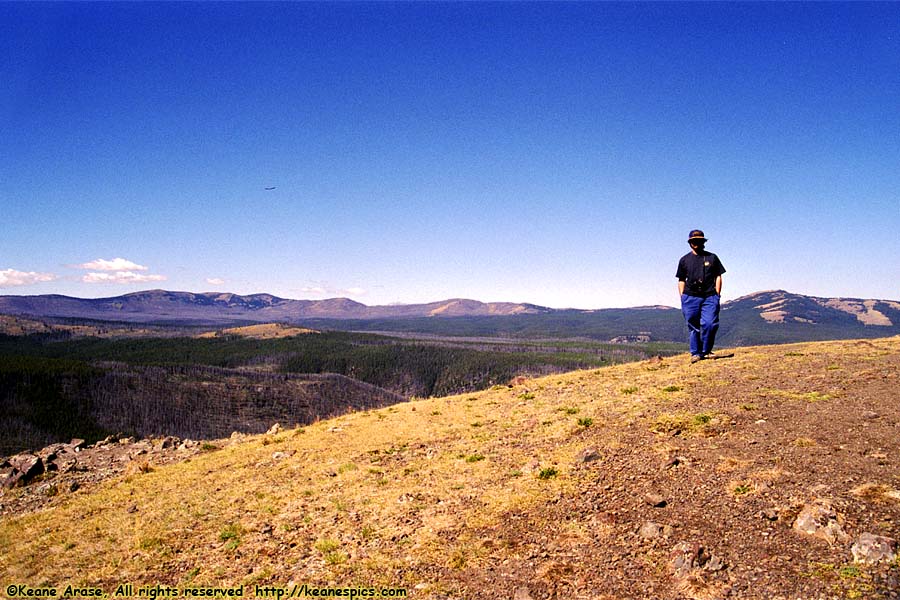 Near Dunraven Pass