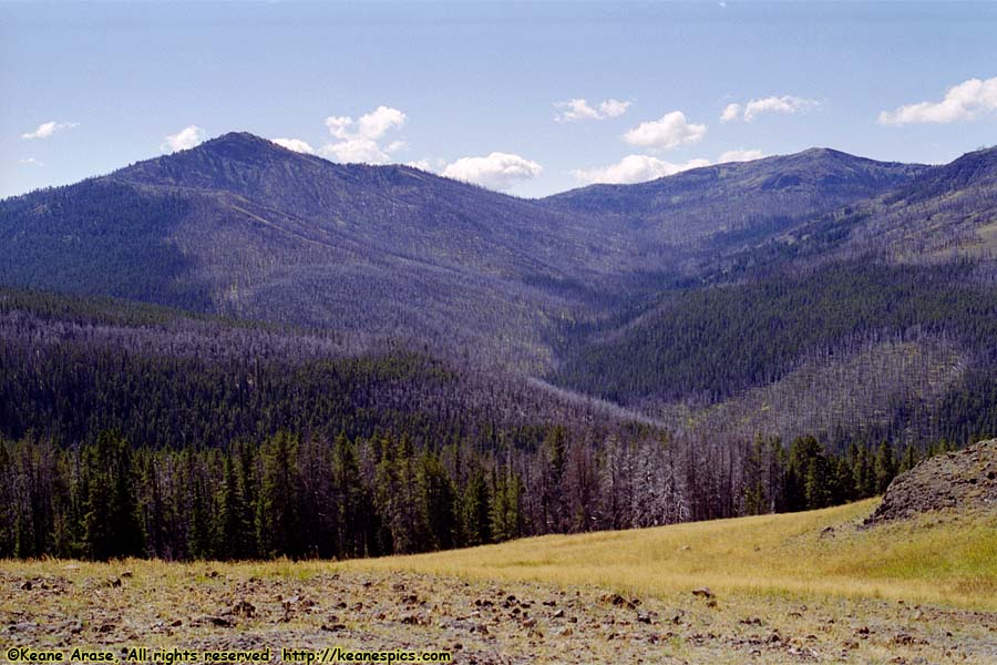 Near Dunraven Pass