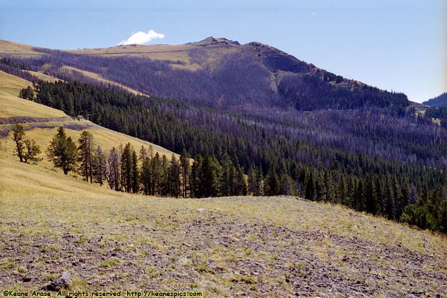 Near Dunraven Pass