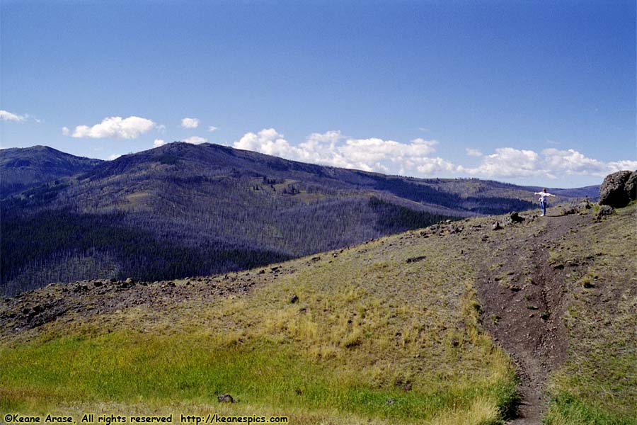 Near Dunraven Pass