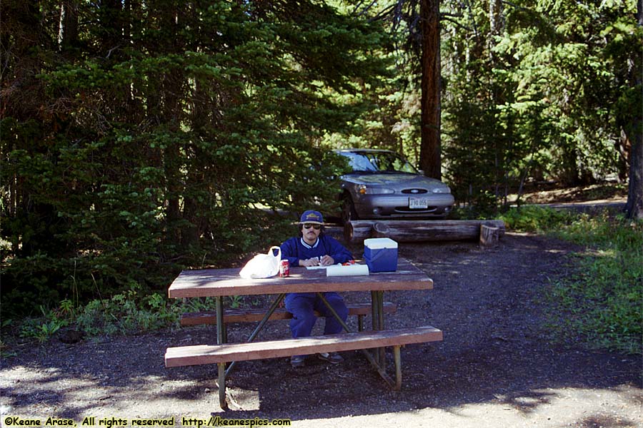 Picnic area near Norris Junction