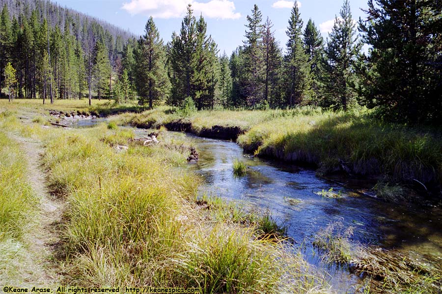 Obsidian Creek