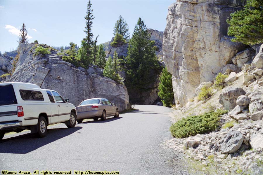 The Hoodoos