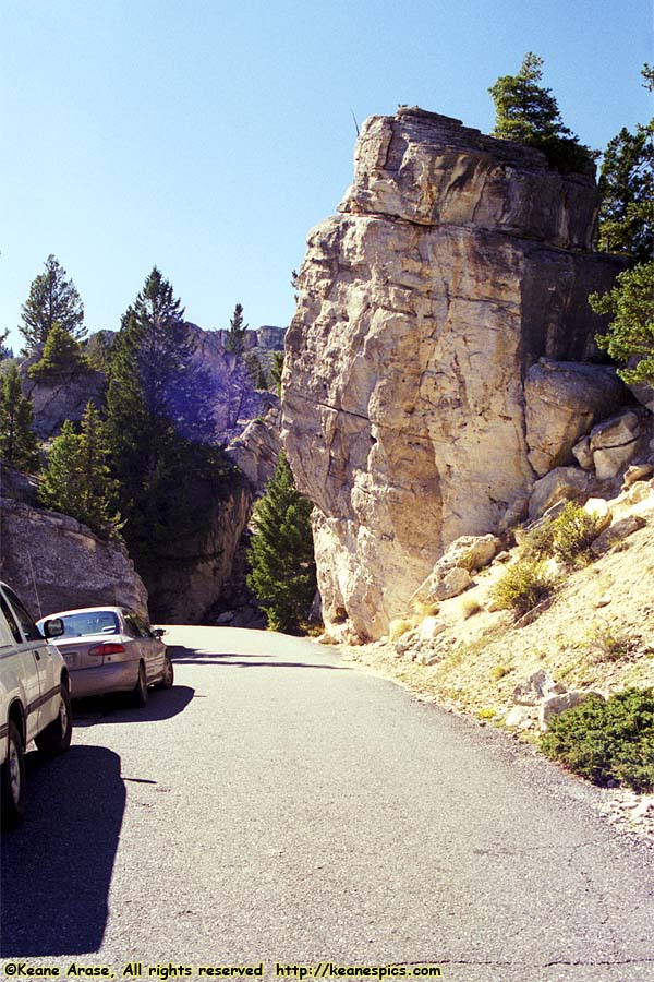 The Hoodoos