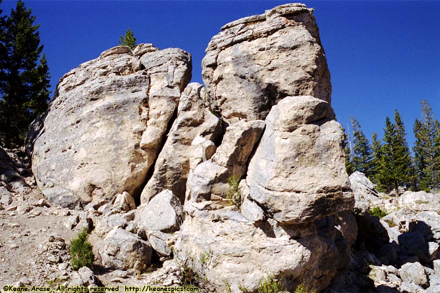 The Hoodoos