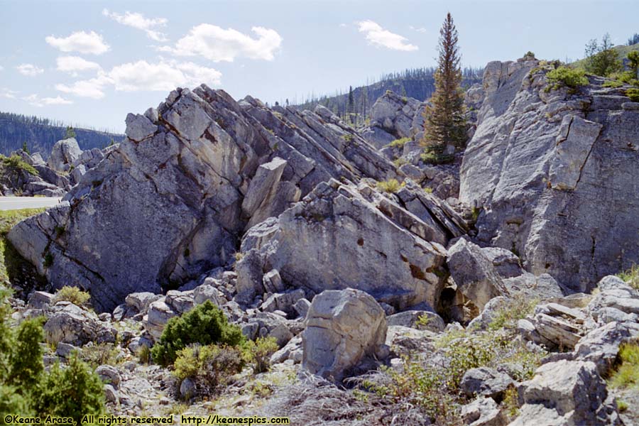 The Hoodoos