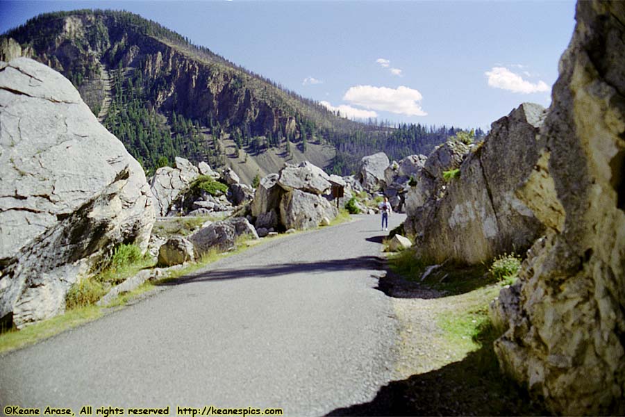 The Hoodoos