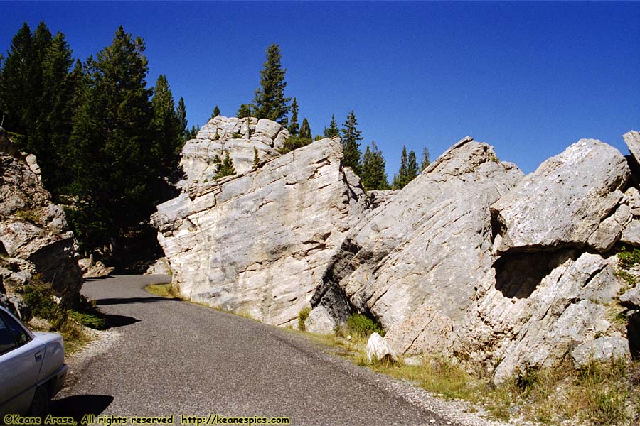 The Hoodoos