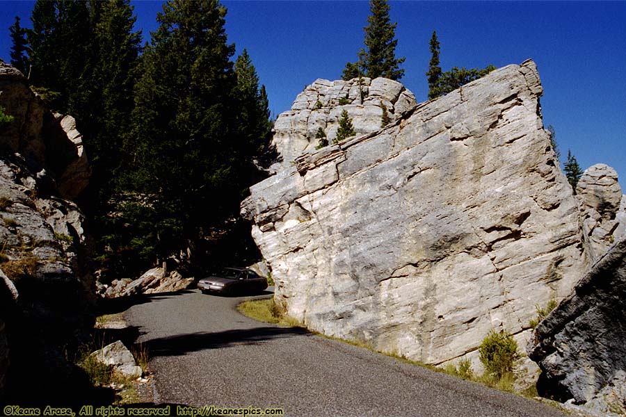 The Hoodoos