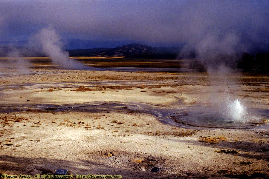 Twig Geyser