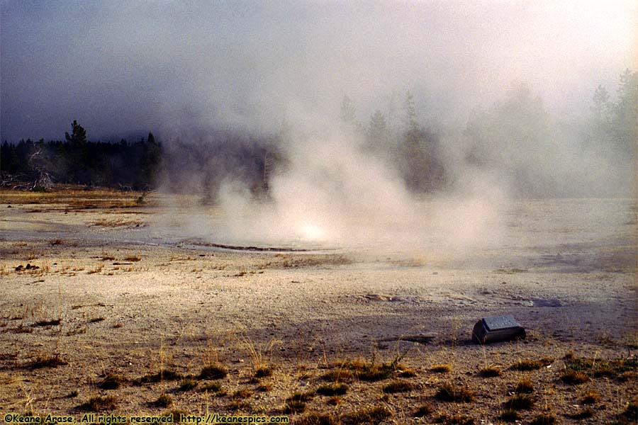 Twig Geyser