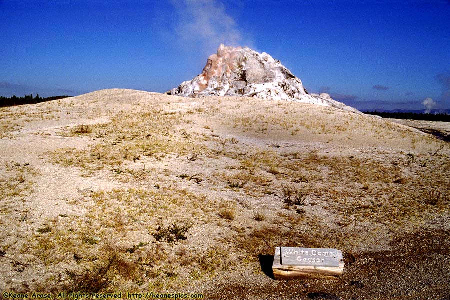 White Dome Geyser