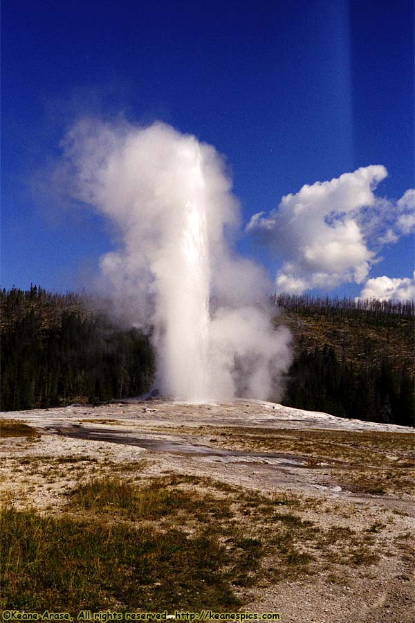 Old Faithful Geyser