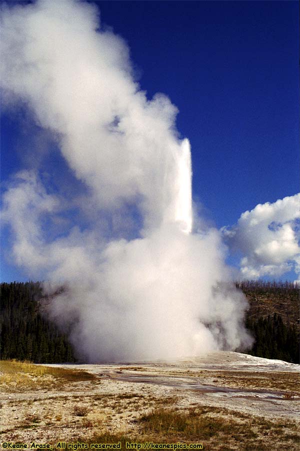 Old Faithful Geyser