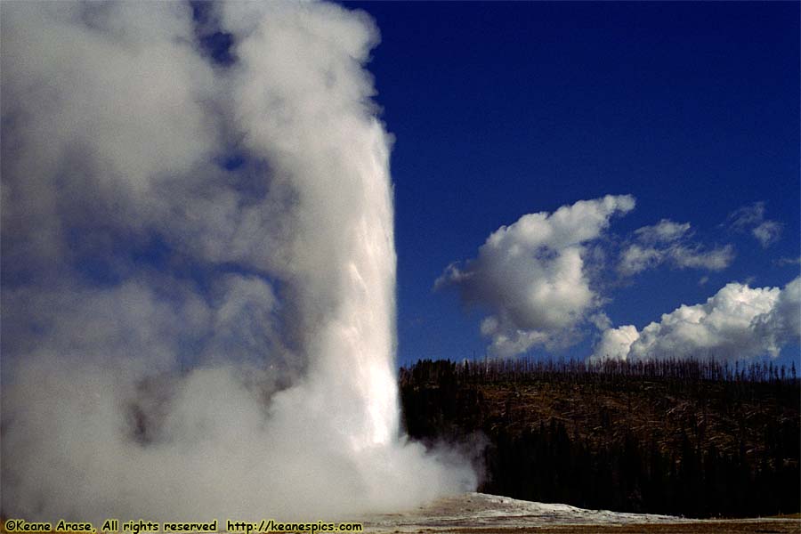 Old Faithful Geyser