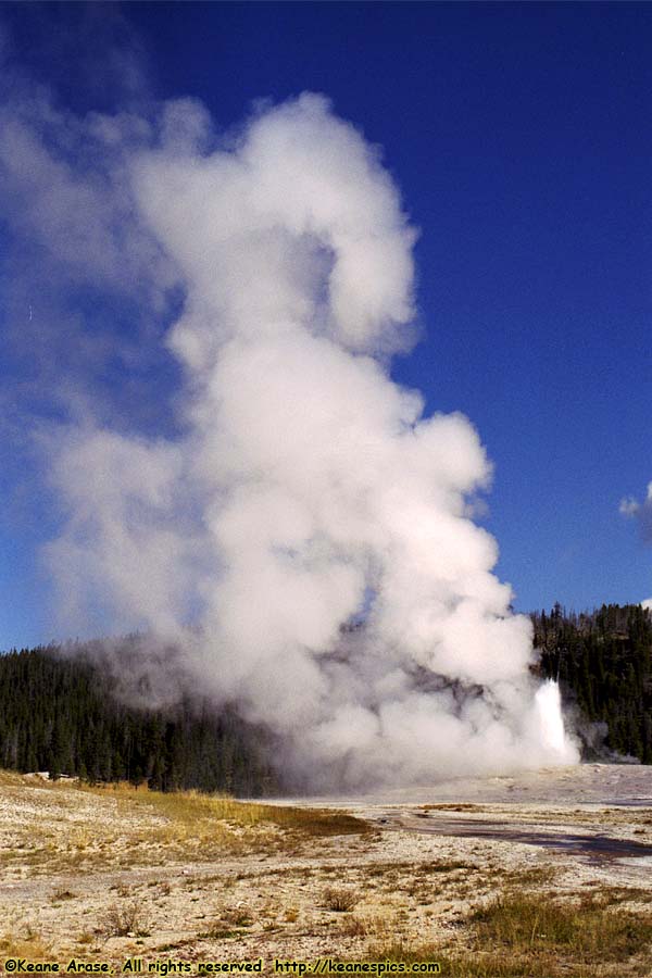 Old Faithful Geyser