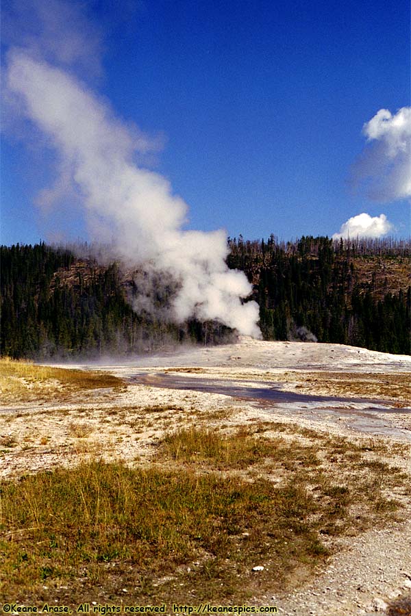 Old Faithful Geyser