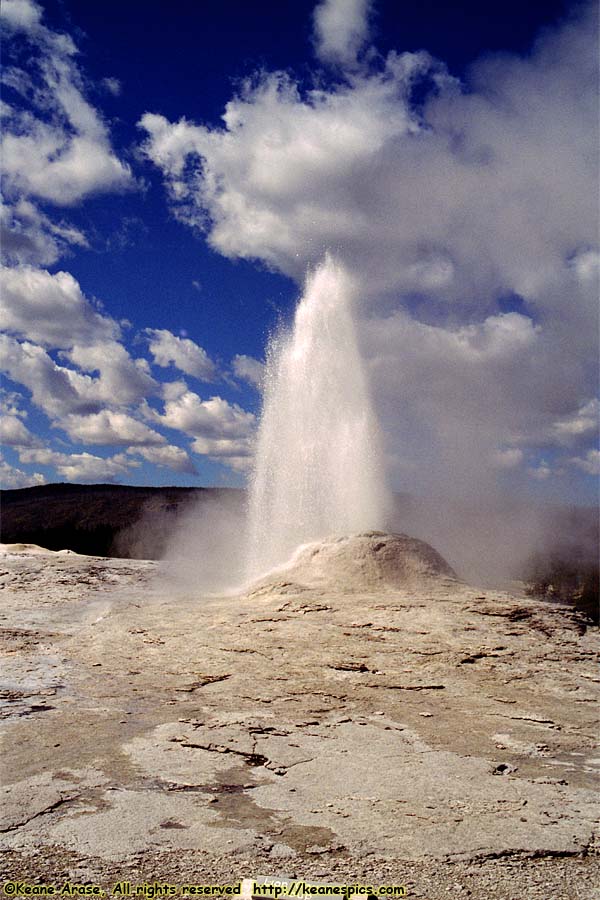 Lion Geyser Group