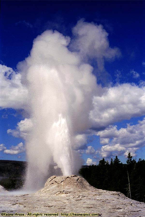 Lion Geyser Group