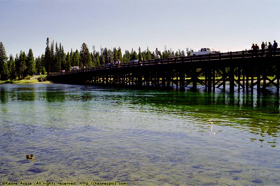 (No) Fishing Bridge