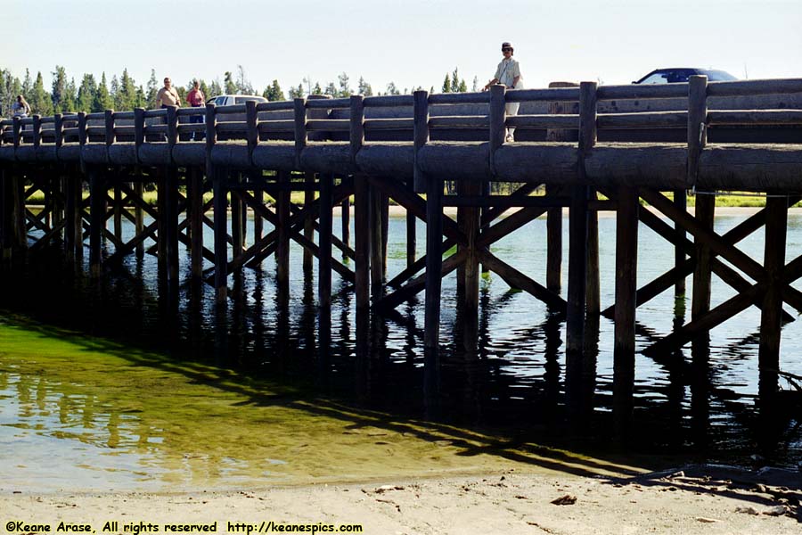 (No) Fishing Bridge