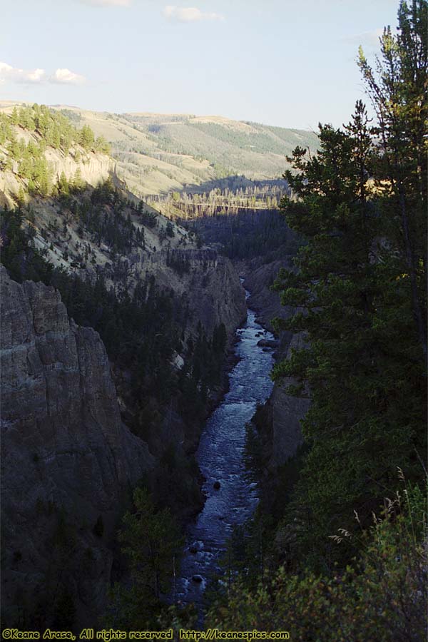 Yellowstone River