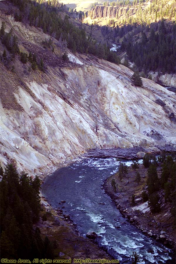 Yellowstone River