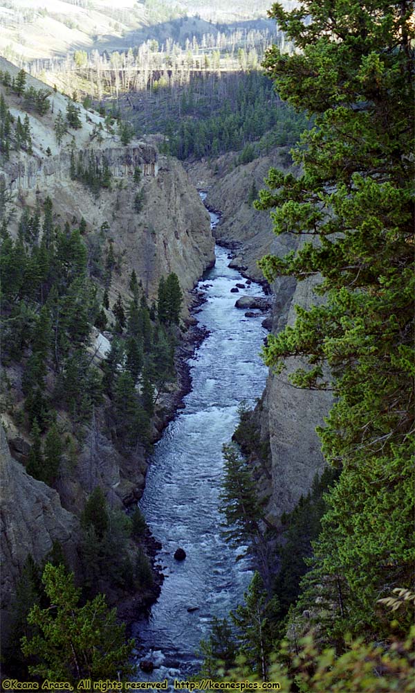 Yellowstone River