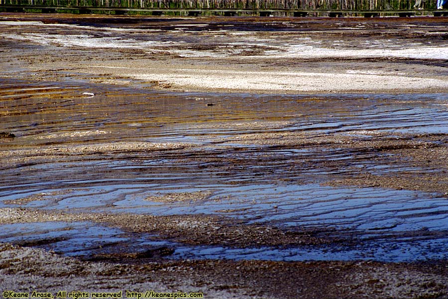 Midway Geyser Basin