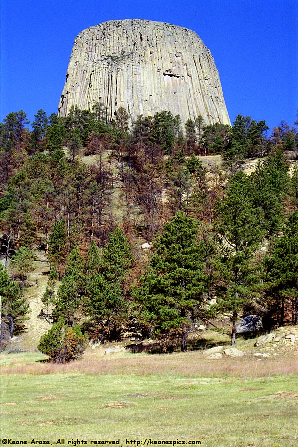 Devil's Tower