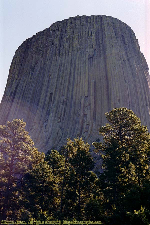 Devil's Tower