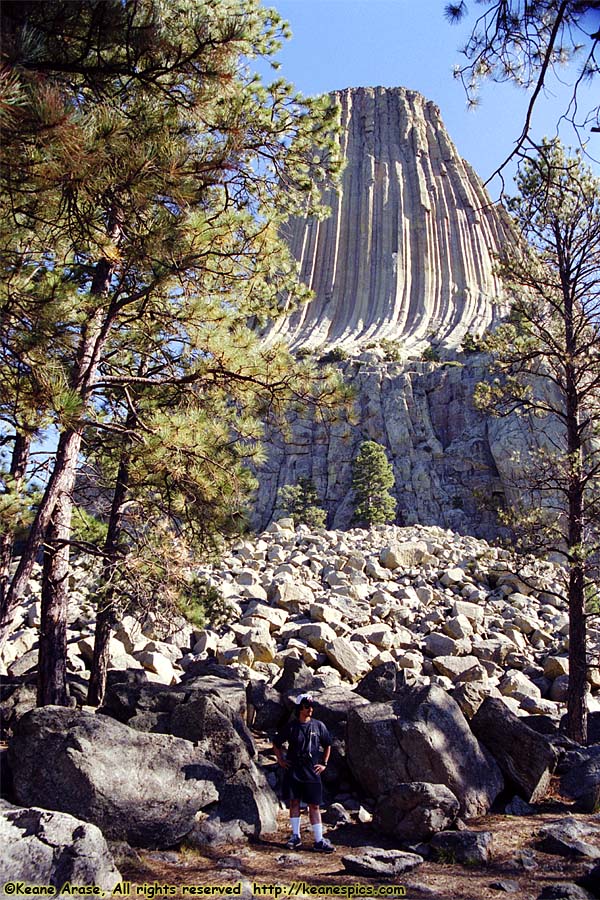 Devil's Tower