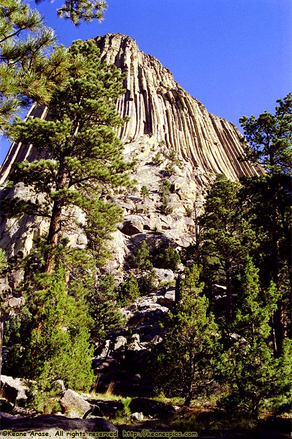 Devil's Tower