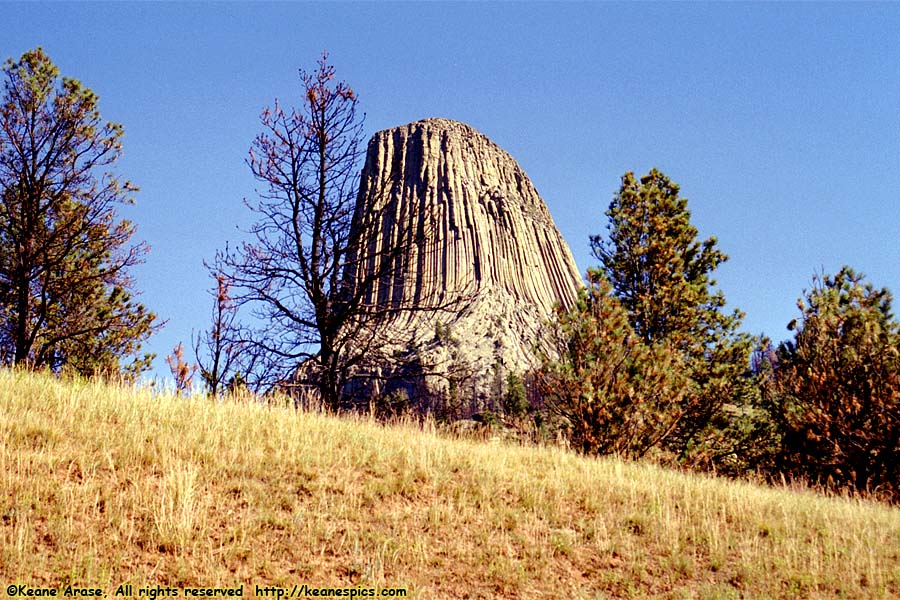 Devil's Tower