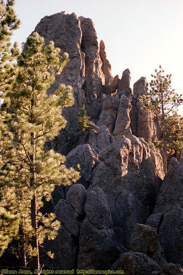 Along Needles Highway (SD87)