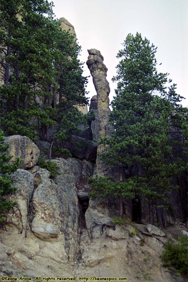 Along Needles Highway (SD87)