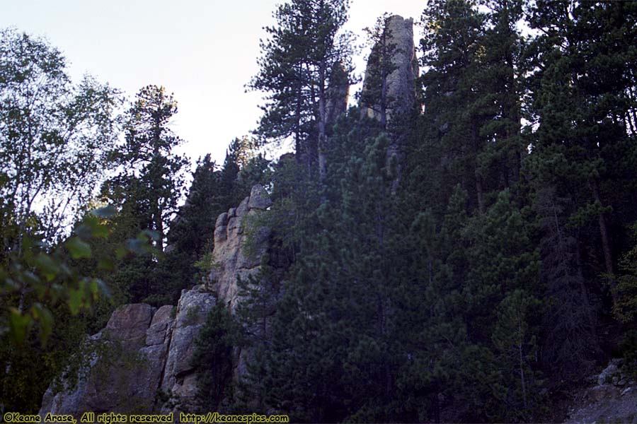 Along Needles Highway (SD87)