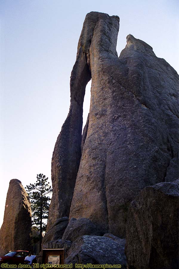 Along Needles Highway (SD87)