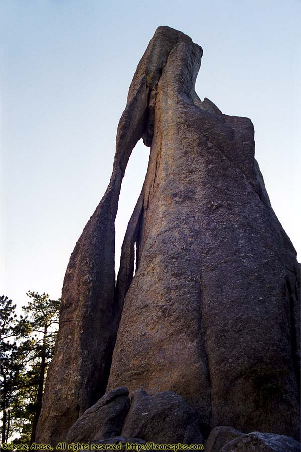 Along Needles Highway (SD87)