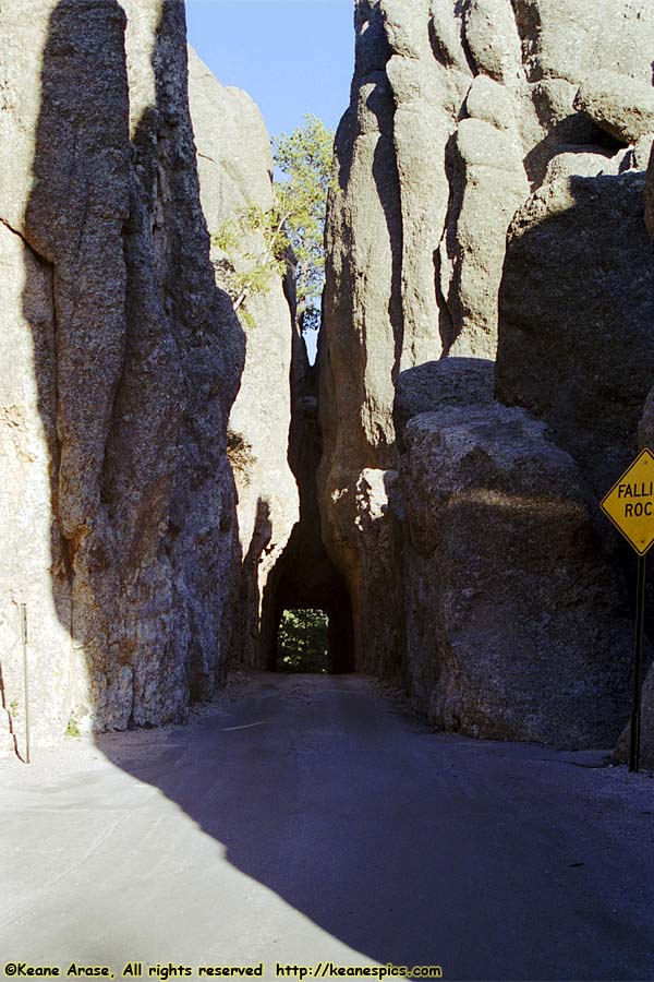 Along Needles Highway (SD87)