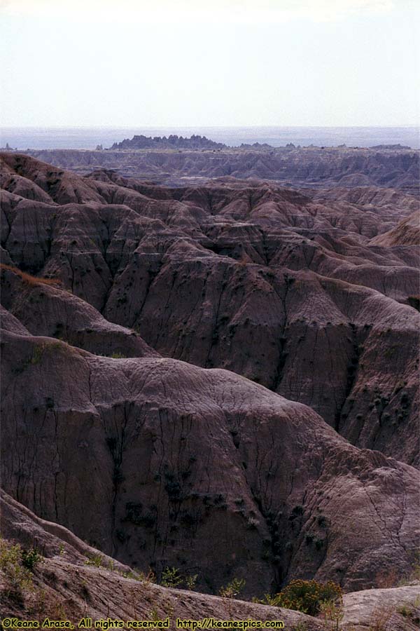 Overlook along SD-240