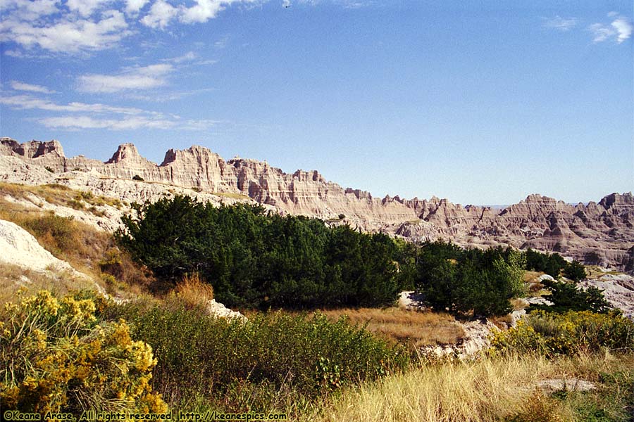 Cliff Shelf Nature Trail