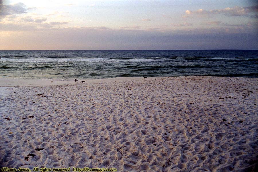 Pensacola Beach