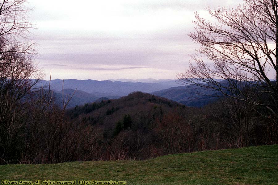 Along the Parkway