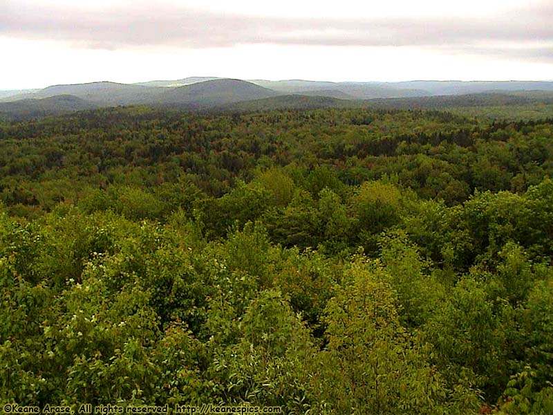 Hogback Mountain