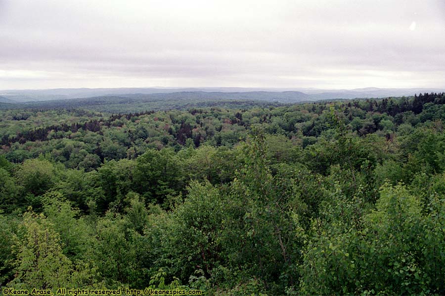 Hogback Mountain