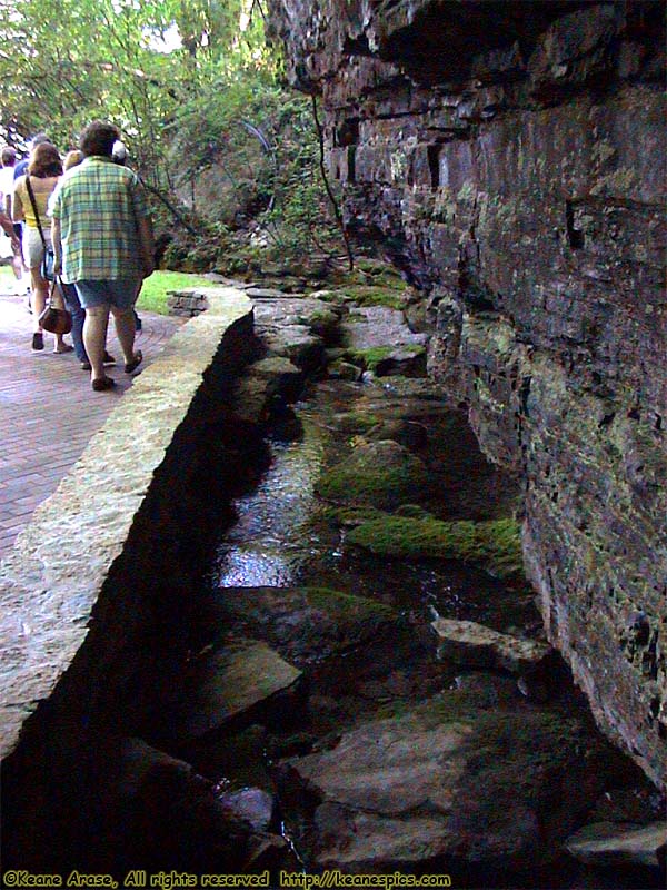 Cave Spring